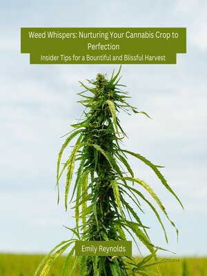 cover image of Weed Whispers